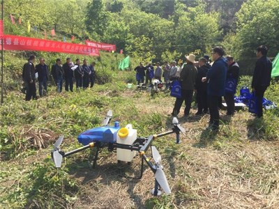 科技赋能林间管理 旌德县山核桃植保无人机绿色防控现场会纪实